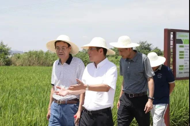 �������֡�(�й���)���޹�˾����