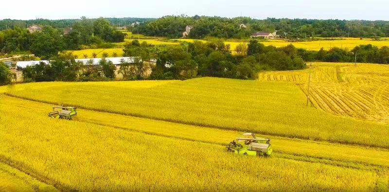 �������֡�(�й���)���޹�˾����