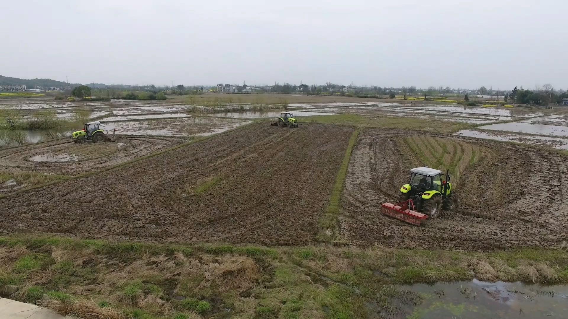 �������֡�(�й���)���޹�˾����