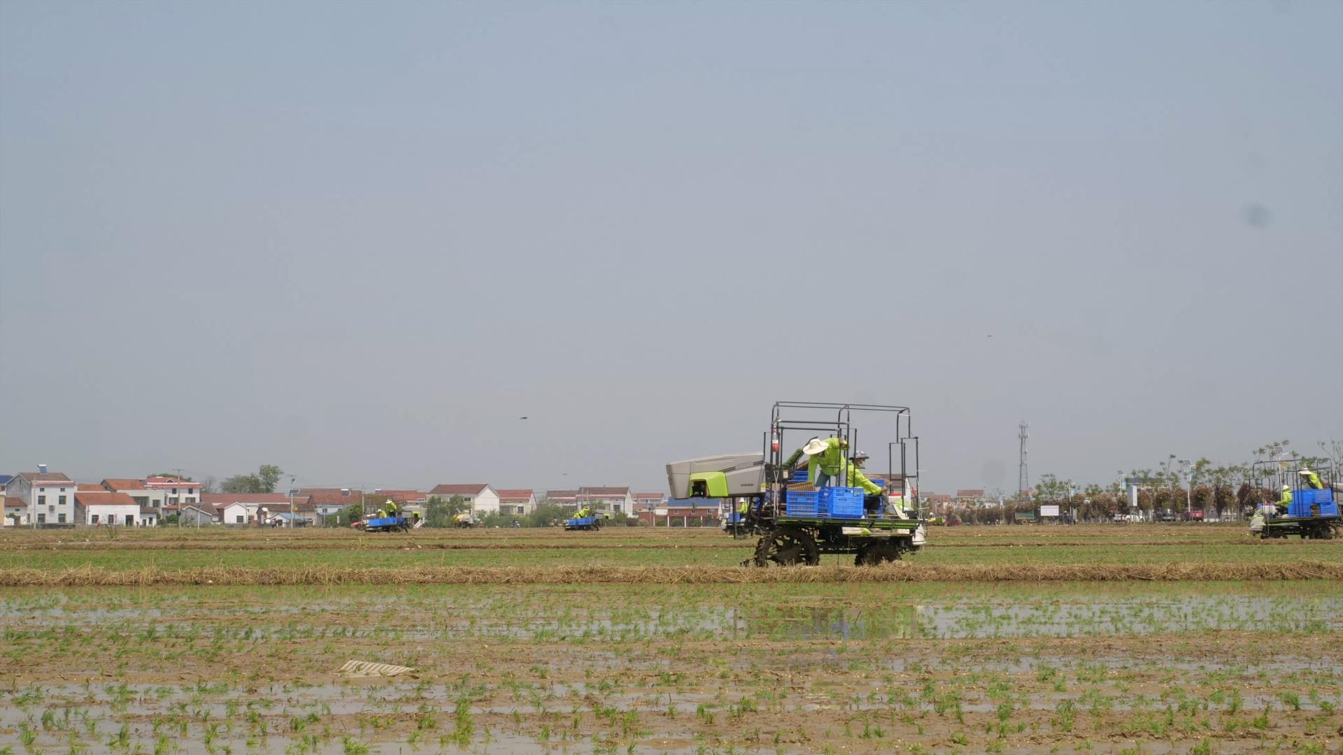 �������֡�(�й���)���޹�˾����