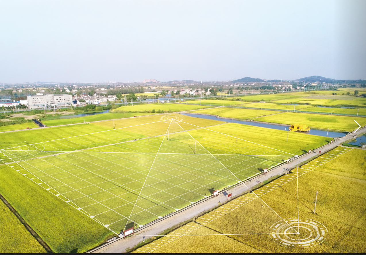 �������֡�(�й���)���޹�˾����