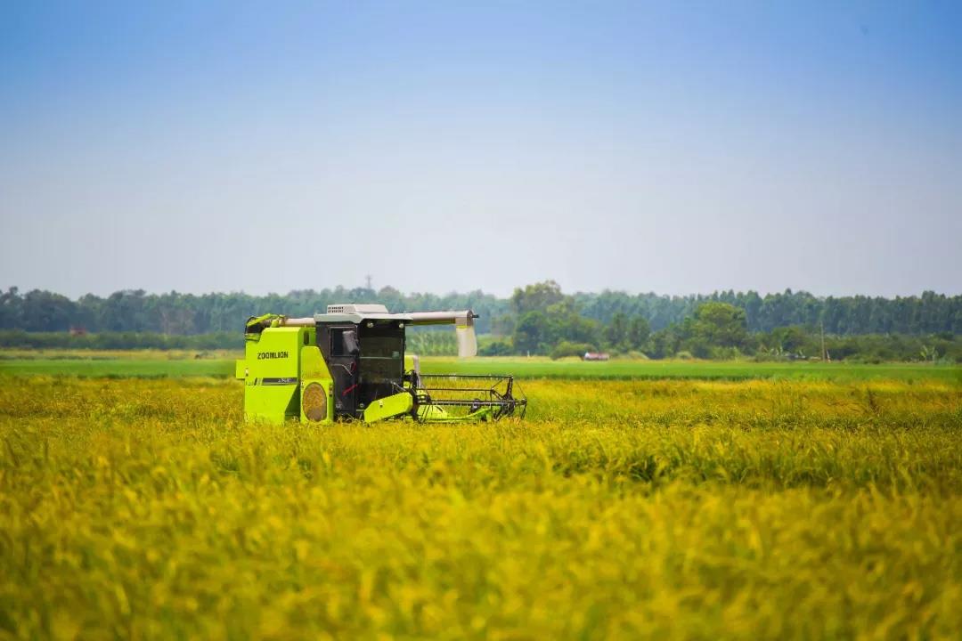 �������֡�(�й���)���޹�˾����