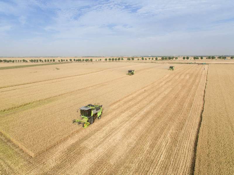 �������֡�(�й���)���޹�˾����