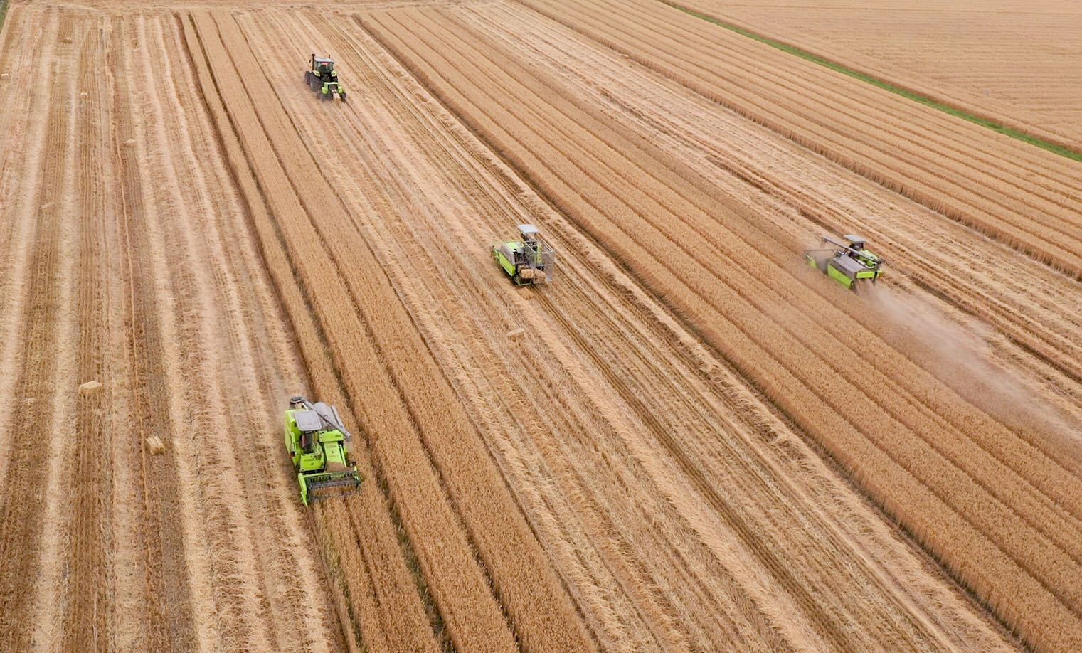 �������֡�(�й���)���޹�˾����